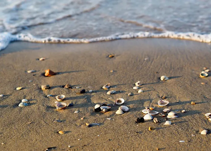 In 35834 Apartment *