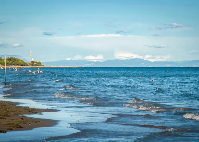 In 35834 Apartment *